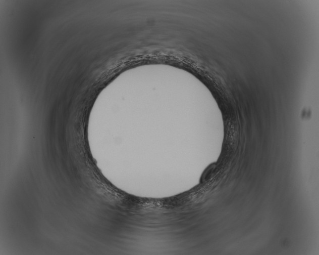 X0000089421489200707131811