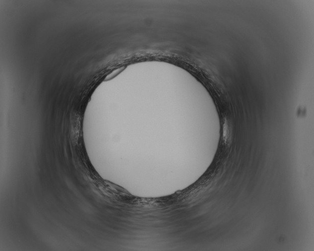 X0000089421492200707131811