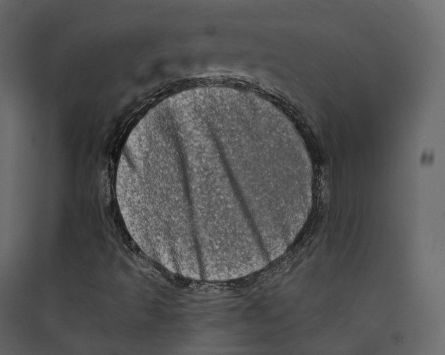X0000089421493200707131811
