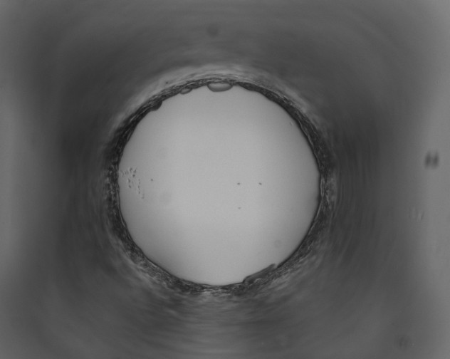 X0000089421496200707131811