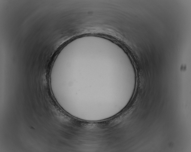 X0000089421497200707131811