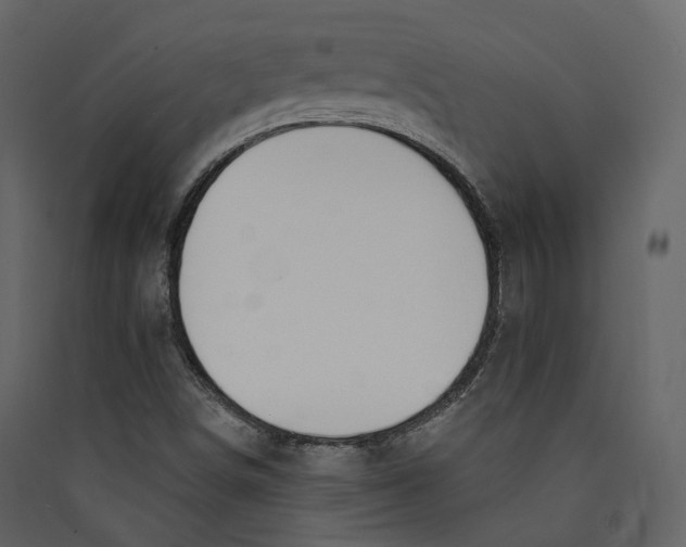 X0000089421498200707131811