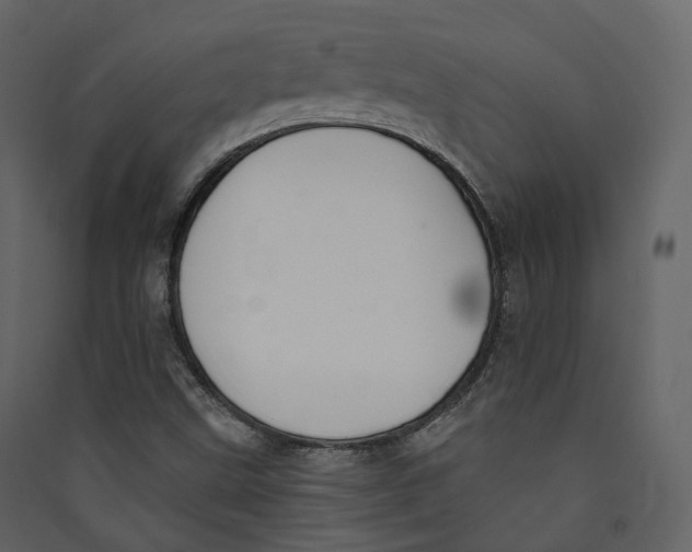 X0000089421499200707131811