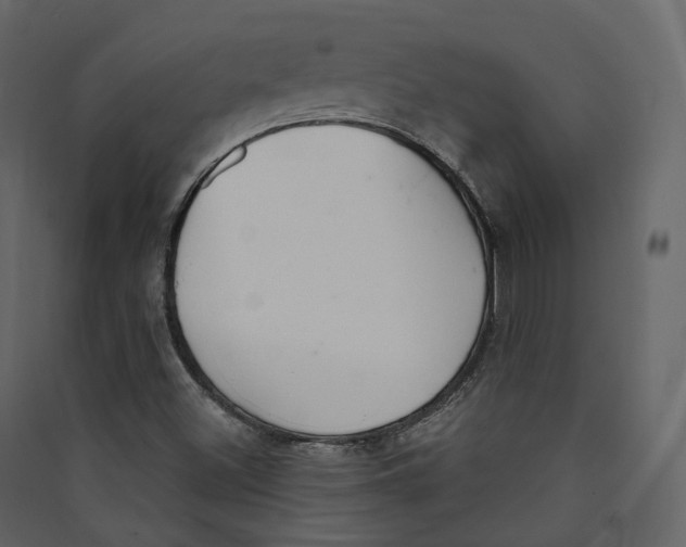X0000089421500200707131811