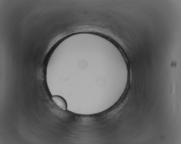 X0000089421501200707131811