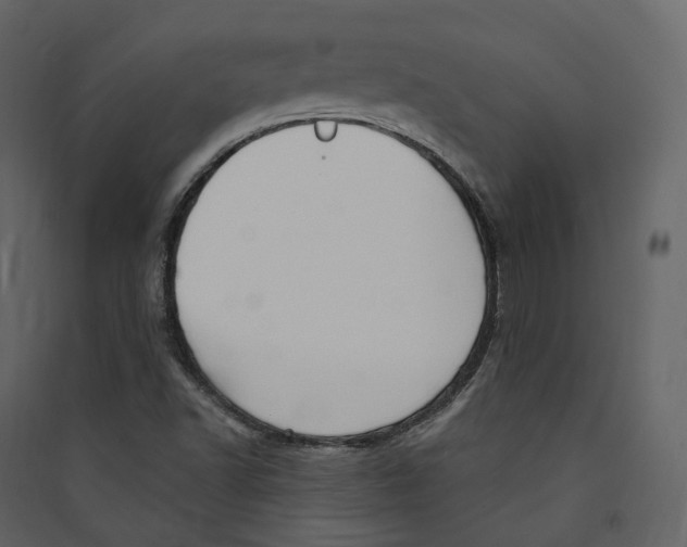X0000089421502200707131811