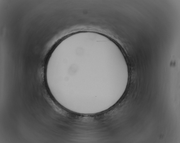X0000089421503200707131811