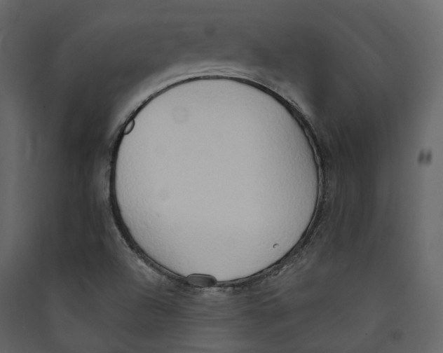 X0000089421504200707131811