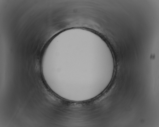 X0000089421505200707131811