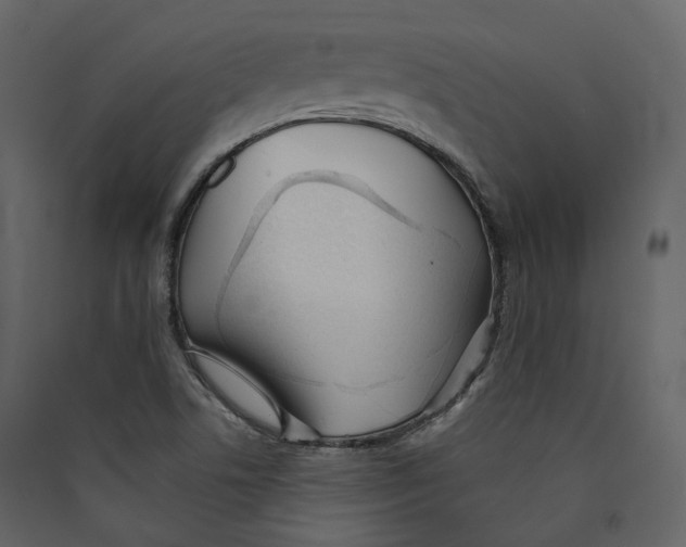 X0000089421506200707131811