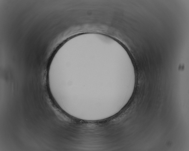 X0000089421507200707131811