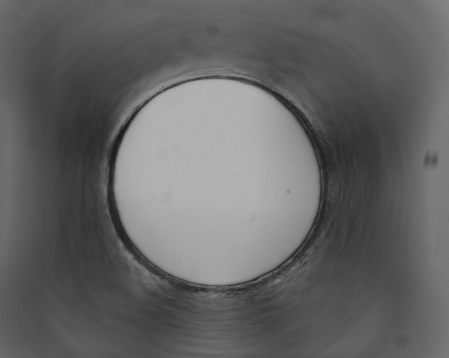 X0000089421508200707131811