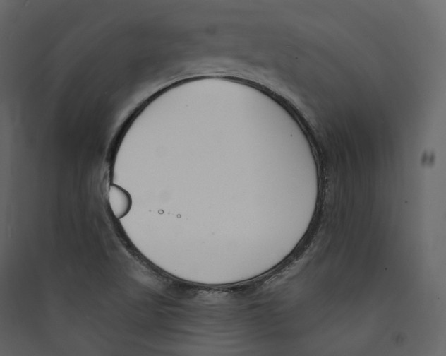 X0000089421509200707131811