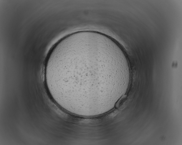 X0000089421510200707131811