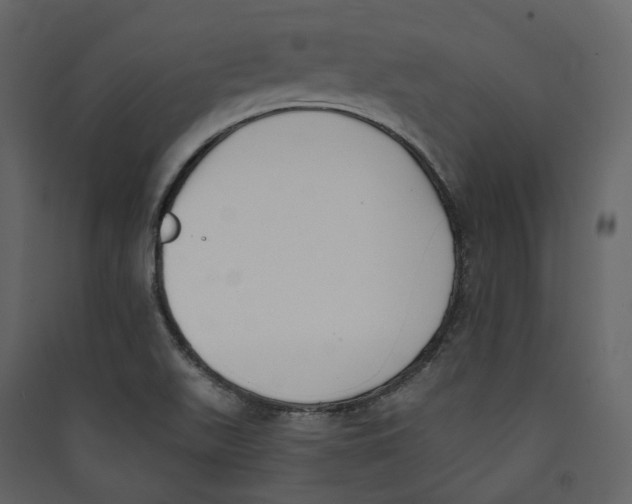 X0000089421511200707131811