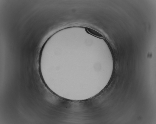 X0000089421512200707131811