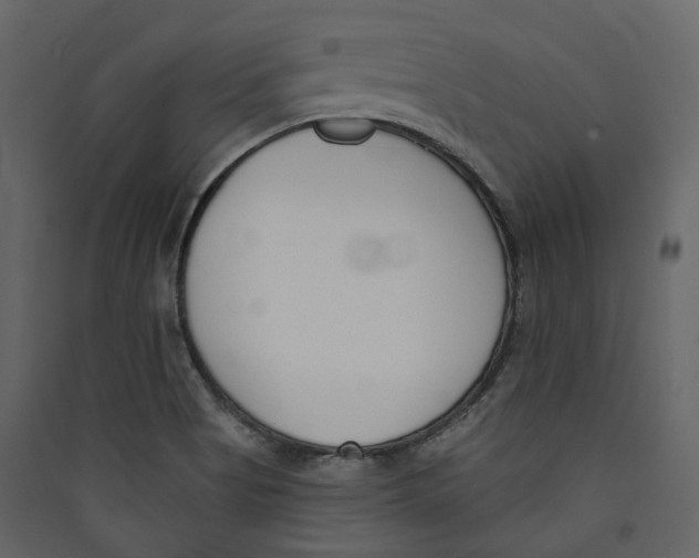 X0000089421513200707131811