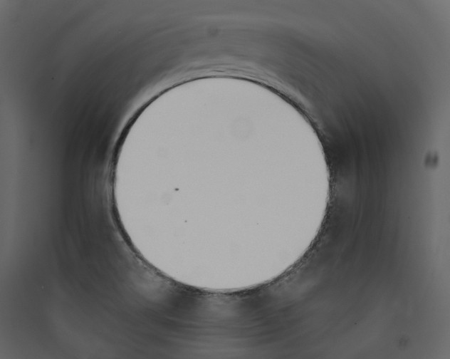 X0000089421514200707131811