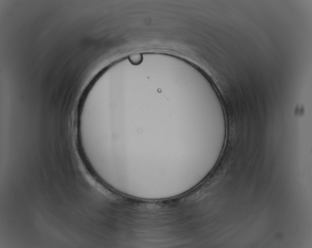 X0000089421515200707131811