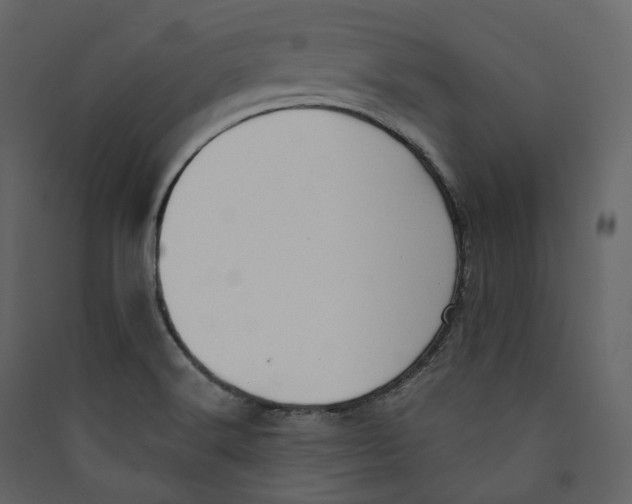 X0000089421516200707131811