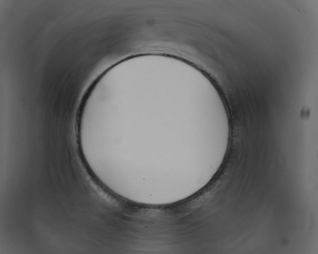 X0000089421517200707131811
