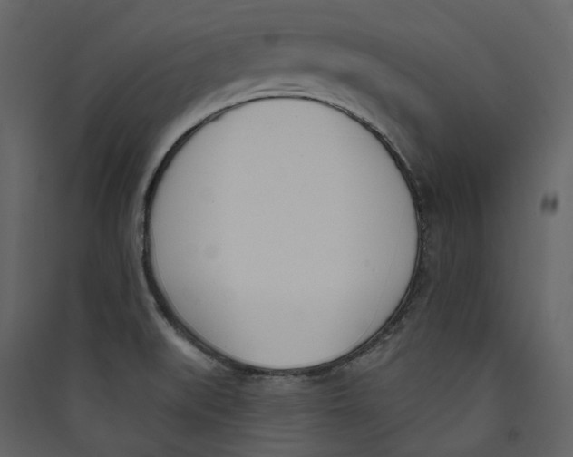 X0000089421519200707131811