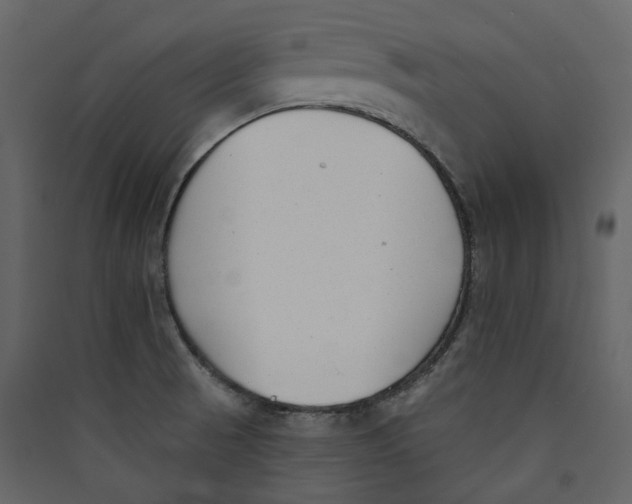 X0000089421521200707131811