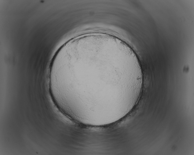X0000089421522200707131811
