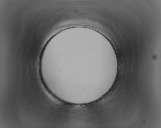 X0000089421523200707131811