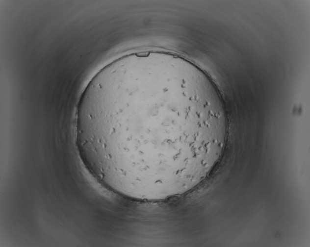 X0000089421524200707131811