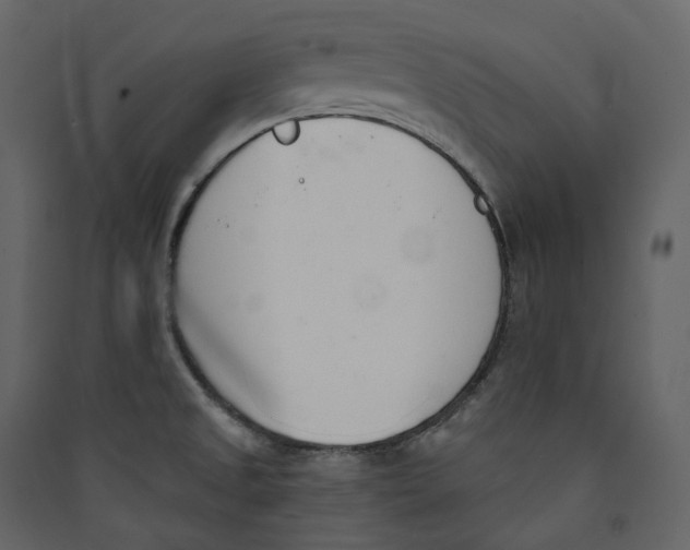X0000089421525200707131811