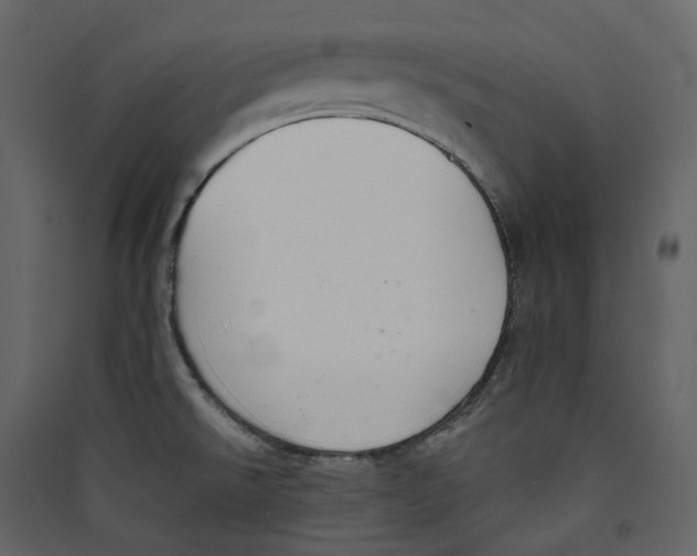 X0000089421526200707131811