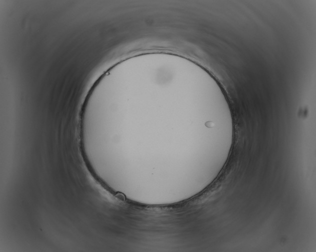 X0000089421527200707131811