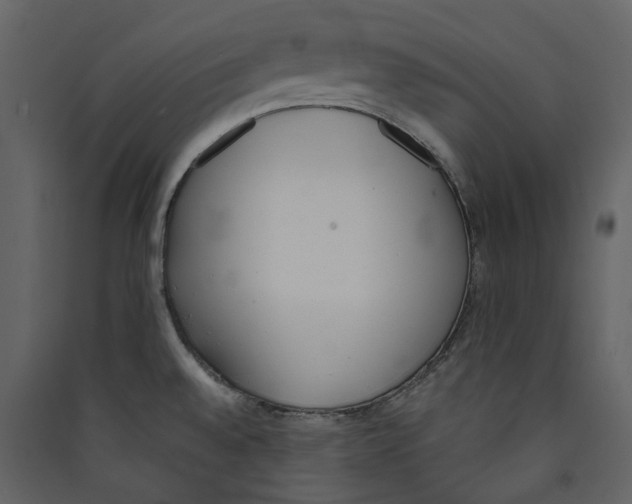 X0000089421528200707131811