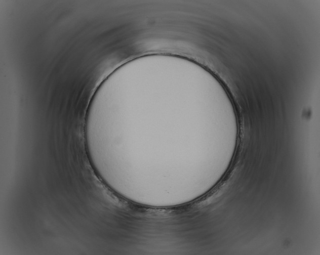 X0000089421529200707131811