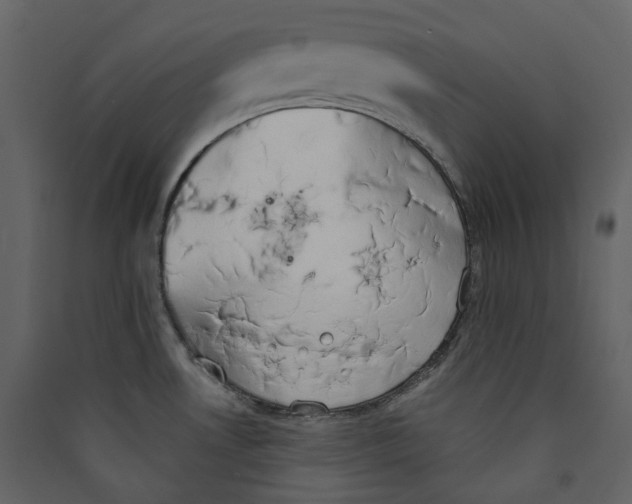 X0000089421530200707131811