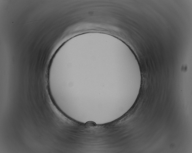 X0000089421531200707131811