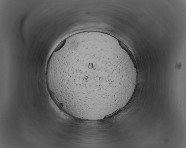 X0000089421532200707131811