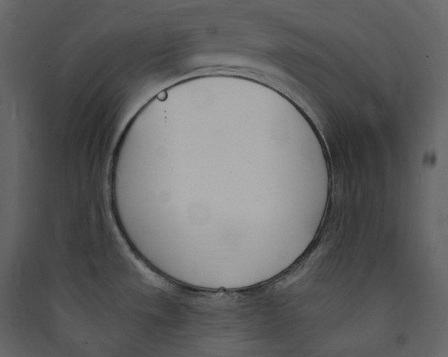 X0000089421533200707131811