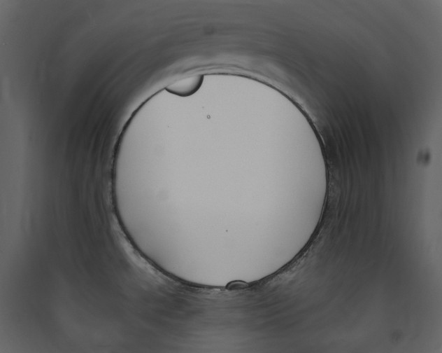 X0000089421534200707131811