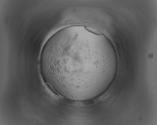X0000089421536200707131811