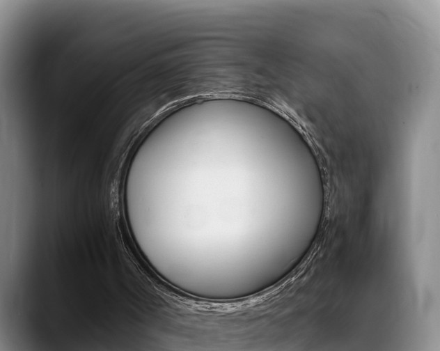X0000089430002200706151030