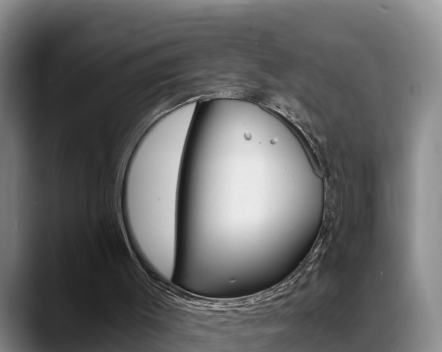 X0000089430003200706151030
