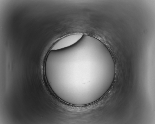 X0000089430006200706151030