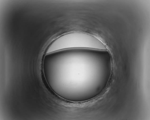 X0000089430007200706151030