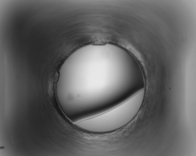X0000089430009200706151030