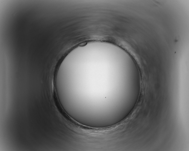 X0000089430011200706151030