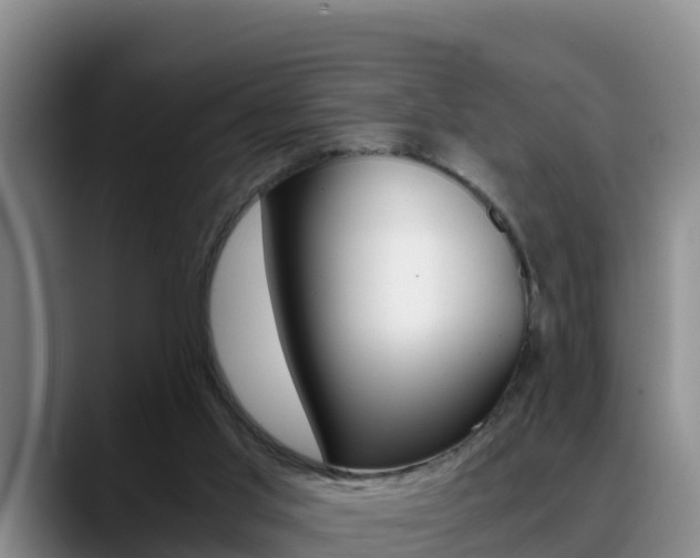 X0000089430013200706151030