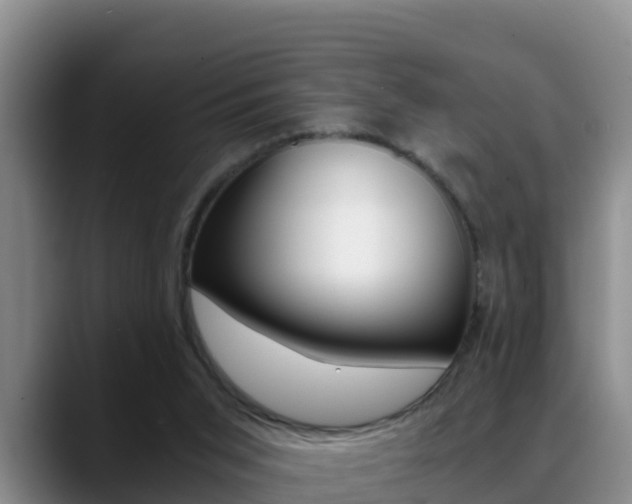 X0000089430015200706151030