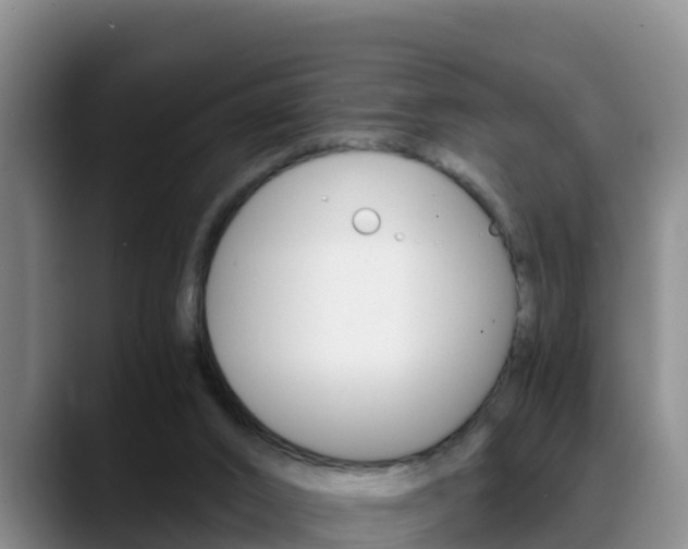 X0000089430016200706151030